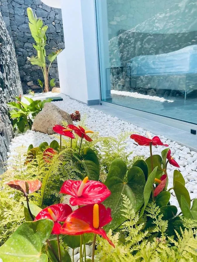 Rocavista - Villa With Heated Rooftop Pool And Amazing Ocean View Costa Adeje  0*, Costa Adeje (Tenerife)